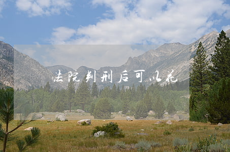 法院判刑后可以花錢買減刑嗎