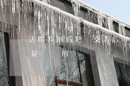 法院判刑后把錢交清后可以減刑嗎(判刑可以花錢減刑嗎)