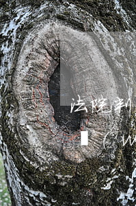 法院判刑后的罰款會(huì)因逾期上么(網(wǎng)貸逾期上法院,法院判決還,還的話還要處罰金嘛)