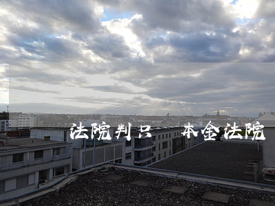 法院判只還本金(法院會判只還本金嗎)