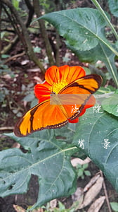 法院判后背景調(diào)查可以查到嗎(背景調(diào)查能查到民事訴訟嗎)