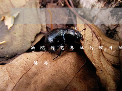 法院判完冻住的钱可以解冻吗(法院怎么才能解冻)