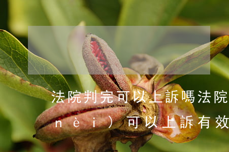 法院判完可以上訴嗎(法院判決后多久之內(nèi)可以上訴有效)
