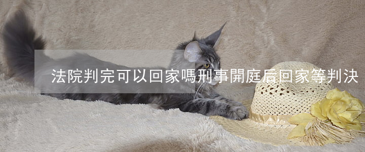 法院判完可以回家嗎(刑事開庭后回家等判決)