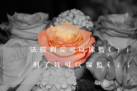 法院判完可以探監(jiān)嗎(朋友被判刑了我可以探監(jiān)嗎)