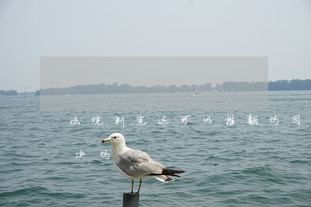 法院判完还可以推翻吗(同级法院可以推翻判决吗)