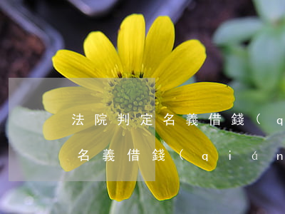 法院判定名義借錢(qián)人(法院判定名義借錢(qián)人)