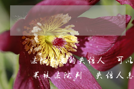 法院判定的失信人員可以恢復(fù)嗎(如果被法院判為失信人,怎么能取消)