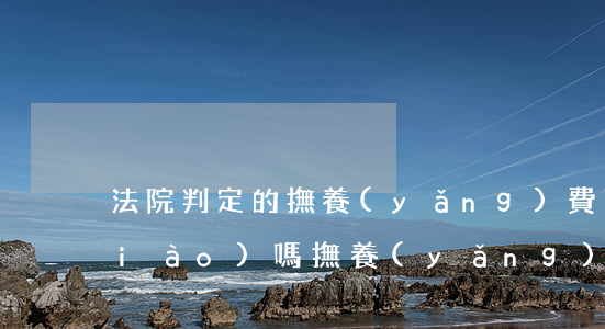 法院判定的撫養(yǎng)費可以調(diào)嗎(撫養(yǎng)費金額可以起訴調(diào)整不)