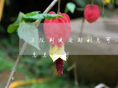 法院判定逾期利息可以上訴嗎(法院判逾期利息怎么判)