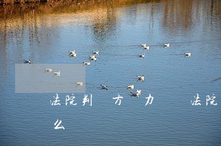 法院判對方無力償還 法院判對方無力償還怎么辦