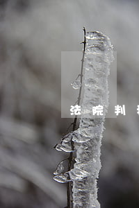法院判我一間房可以分戶嗎(買了房子可以分戶嗎)