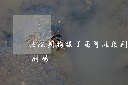 法院判拘役了还可以缓刑吗(判处拘役可以减刑吗)