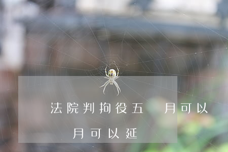 法院判拘役五個月可以減刑嗎(法院判拘役一個月可以延緩嗎)