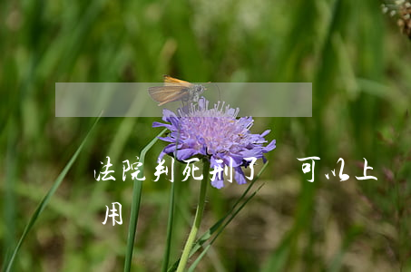法院判死刑了還可以上訴嗎(判死刑后上訴有用嗎)