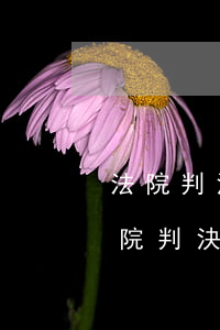 法院判決一審可以執(zhí)行嗎(一審法院判決后還能從審嗎?)