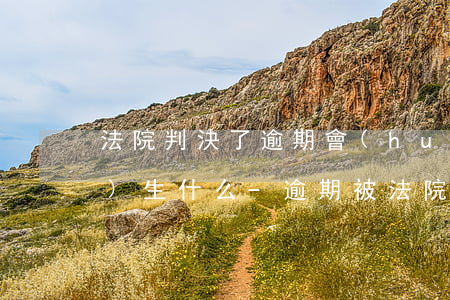 法院判決了逾期會(huì)產(chǎn)生什么-逾期被法院起訴會(huì)有什么后果