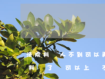 法院判決人不到可以再上訴嗎(民事糾紛法院判決了還可以上訴不)
