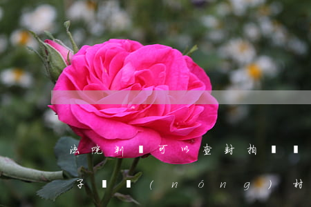 法院判決可以查封拍賣農(nóng)村房子嗎(農(nóng)村集體土地上的房屋可以查封拍賣嗎)