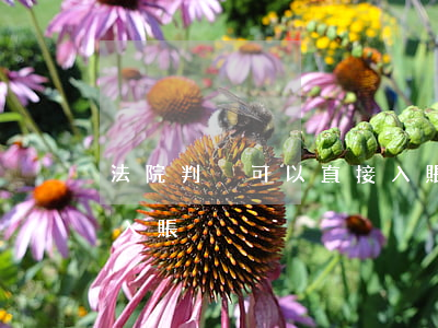 法院判決可以直接入賬嗎(法院判決收入如何入賬)
