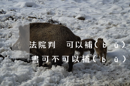 法院判決可以補(bǔ)繳社保嗎(法院判決書可不可以補(bǔ)社保)