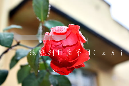 法院判決后不執(zhí)行怎么寫投訴書