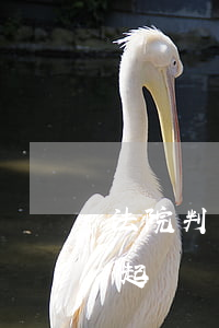 法院判決后可以協(xié)議離婚嗎(法院起訴離婚了,還可以協(xié)議離婚嗎)