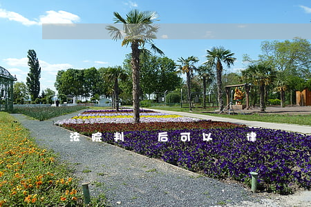 法院判決后可以換律師執(zhí)行嗎