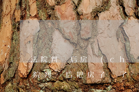 法院判決后房產(chǎn)可以變賣嗎(法院判決后把房子賣了)