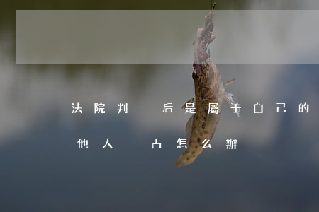 法院判決后是屬于自己的財產(chǎn),他人強占怎么辦