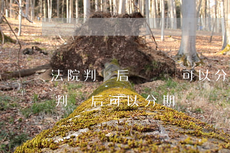 法院判決后沒錢還可以分期還嗎(欠錢被法院判決后可以分期嗎)