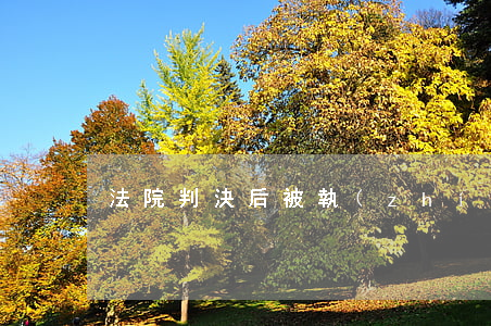法院判決后被執(zhí)行人沒錢怎么辦