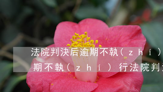 法院判決后逾期不執(zhí)行怎么辦(到期不執(zhí)行法院判決)