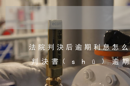 法院判決后逾期利息怎么計(jì)算(法院判決書(shū)逾期利息怎么計(jì)算)