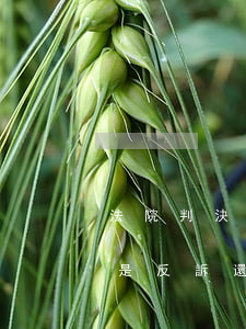 法院判決后還可以反訴嗎(民事判決書下來后是反訴還是上訴?)