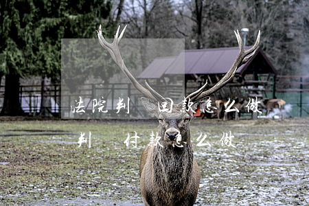 法院判決回款怎么做賬務(wù)處理(法院判決付款怎么做賬)