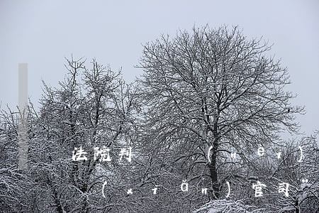 法院判決國內(nèi)首例“二次理賠保險(xiǎn)官司”
