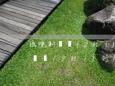 法院判決執(zhí)行后還可以起訴嗎(判決執(zhí)行后還能上訴嗎)