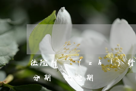 法院判決執(zhí)行款分期逾期-判決分期還款逾期
