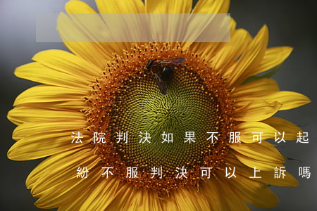 法院判決如果不服可以起可以上訴嗎(民事糾紛不服判決可以上訴嗎)