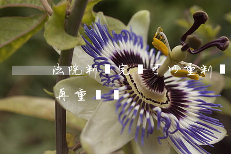 法院判決完還可以重判嗎(判決書生效后還能再重審嗎)
