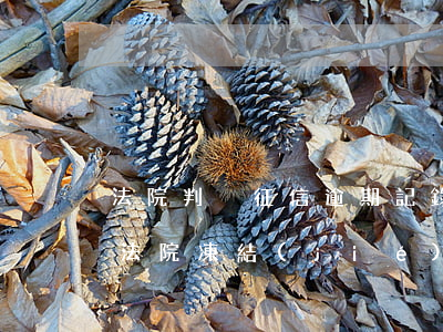 法院判決征信逾期記錄多久消除（征信逾期被法院凍結(jié)）