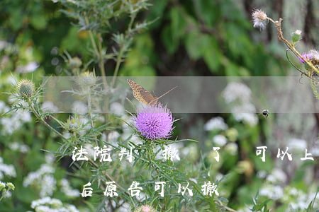 法院判決撤訴了還可以上訴嗎(民事訴訟判決后原告可以撤訴嗎)