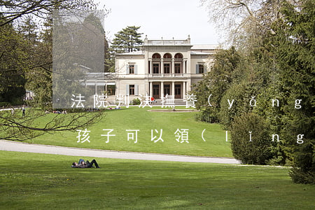 法院判決撫養(yǎng)權(quán)孩子可以領(lǐng)走嗎(孩子撫養(yǎng)權(quán)訴訟)