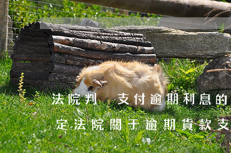 法院判決支付逾期利息的法律規(guī)定(法院關于逾期貨款支付利息的標準)