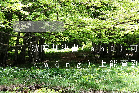 法院判決書(shū)可以查詢嗎(在什么網(wǎng)上能查到法院的判決書(shū))