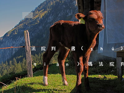 法院判決書(shū)生效后可以不還錢(qián)嗎(法院判決書(shū)下來(lái)了沒(méi)有錢(qián)償還怎么辦)