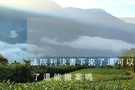 法院判決書下來了還可以撤訴嗎(判決書下來了還能撤案嗎)
