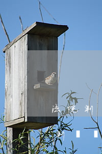 法院判決書不領(lǐng)取可以嗎(法院判決書不領(lǐng)取可以嗎)
