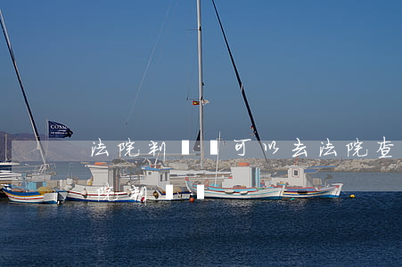 法院判決書可以去法院查詢嗎(怎么能查詢法院判決書)